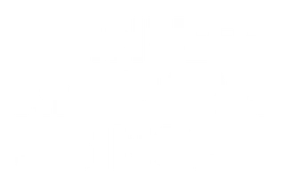 Animated white Tanveer Karan Singh wordmark